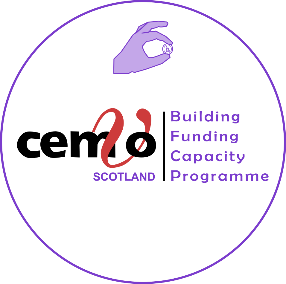 Building Funding Capacity Programme